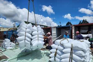 Gạo là nhóm hàng nông sản có kim ngạch xuất khẩu lớn sang Indonesia.