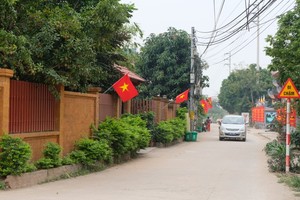 Ảnh minh hoạ. (Nguồn: Internet)