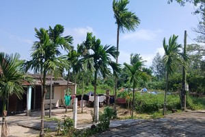 Khu vực thực hiện Khu du lịch biển Lê Phan tại phường Cẩm An. Ảnh Hoàng Anh