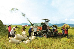 Các dịch vụ logistics phục vụ Kl994 nhà cái bóng đá world cup, Kl992 VIP Trang Chủ 2026 nông nghiệp chưa phát triển đồng bộ, chưa gắn kết chặt chẽ với các vùng nguyên liệu và giữa vùng nguyên liệu với chế biến, tiêu thụ nông sản. 