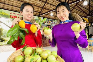 Trái cây Đồng bằng sông Cửu Long rộn ràng ra chợ Tết 