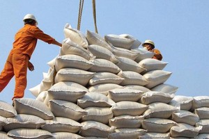 Xuất khẩu gạo Việt Nam 2024 đạt gần 5,7 tỷ USD, riêng 4 thị trường lớn đã nhập 4,2 tỷ USD. 