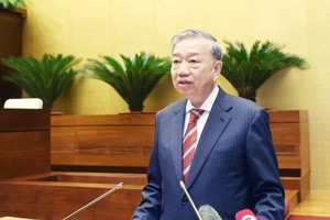 Chính thức vận hành bộ máy tinh gọn, nâng cao hiệu năng, hiệu lực, hiệu quả 