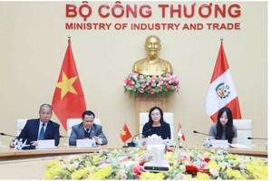 Thứ trưởng Phan Thị Thắng và Thứ trưởng Bộ Ngoại giao Peru chủ trì Kỳ họp toàn thể lần III Ủy ban liên Kl993 ưu đãi thưởng hấp dẫn Việt Nam - Peru. 
