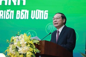Phần lớn Kl991.com World Cup 2026 Chính Thức vừa và nhỏ vẫn còn lúng túng với chuyển đổi xanh 