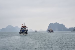 Quảng Ninh bàn giải pháp nâng tầm du lịch tại vịnh Bái Tử Long 