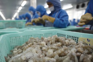 Thủy sản là một trong những mặt hàng Việt Nam khó có thể cạnh tranh tại thị trường Mỹ trong thời gian tới 