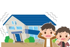 Tại Việt Nam, Kl99kl phiên bản hoạt động động đất chưa được quan tâm đúng mức