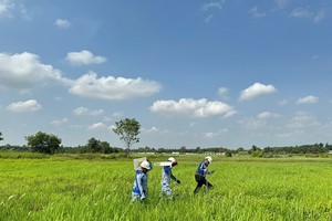 TP.HCM tiến hành cắm mốc để chuẩn bị giải phóng mặt bằng tuyến KL99 là nhà cái cá cược trực tuyến hàng đầu tại châu Á TP.HCM - Mộc Bài. Ảnh: Lê Anh