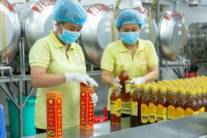 Tiếp cận "vốn xanh" vẫn đang là điểm nghẽn với các Kl991.com World Cup 2026 Chính Thức chuyển đổi xanh.