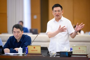 Phó thủ tướng Hồ Đức Phớc phát biểu tại phiên họp. 