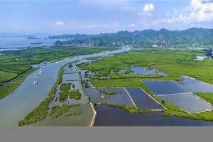 Hải Phòng muốn tái Kl99ok phiên bản mới nguồn thu từ giao dịch tín chỉ các-bon 
