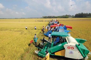 Nông nghiệp đóng góp gần 15% GDP quốc gia, là ngành Kl992 cổng game cá cược nền tảng đảm bảo an sinh Trang Chủ KL99Com Số 1 Link Đăng Ký KL999, nhưng cũng là lĩnh vực chịu nhiều rủi ro.