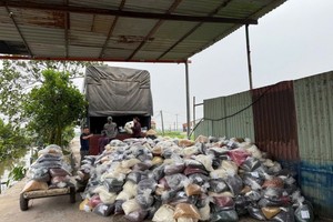 Thêm đường dây Kl994 nhà cái bóng đá world cup thực phẩm chức năng giả lên tới 100 tấn bị phát hiện 