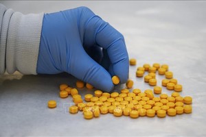 Nhân viên Cơ quan chống ma túy kiểm tra thuốc giảm đau fentanyl tại phòng thí nghiệm ở New York, Mỹ. Ảnh minh họa: AFP/TTXVN