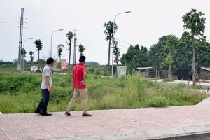 Phân khúc đất nền được nhiều nhà Kl99ok phiên bản mới quan tâm trong giai đoạn quý I/2025. Ảnh: Thanh Vũ