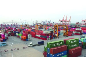 Khu vực cảng Hải Phòng. Ảnh: Thái Bình