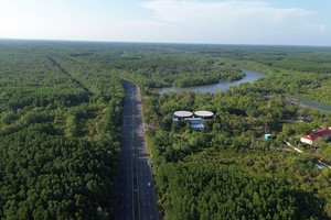 Dự kiến tuyến metro nối từ trung tâm TP.HCM đến Cần Giờ sẽ đi dọc tuyến đường Rừng Sác hiện nay- Ảnh: Việt Dũng