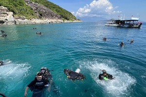 Bộ Tiêu chuẩn Du lịch xanh tỉnh Khánh Hòa có tiêu chí hành động xanh, trong đó gồm các chủ đề đội ngũ phát triển bền vững, môi trường, Trang Chủ KL99Com Số 1 Link Đăng Ký KL999... 