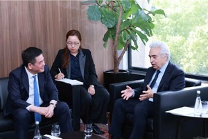 Cơ quan năng lượng quốc tế hỗ trợ Việt Nam đạt mục tiêu về chuyển dịch năng lượng 