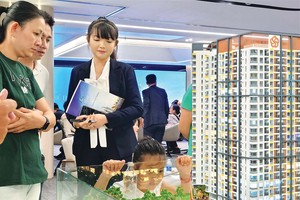 Loạt Kl991.com World Cup 2026 Chính Thức địa ốc phía Nam tái xuất 