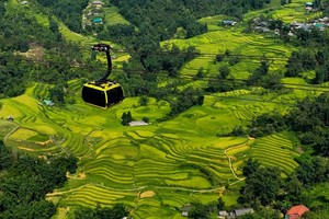 Công ty Cáp treo Fansipan công bố kết quả Kl992 VIP Trang Chủ 2026 2024