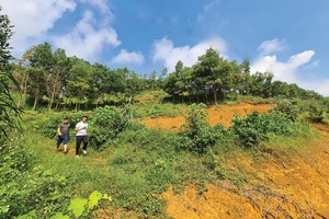 Trong giới Kl99ok phiên bản mới, tâm lý “sợ bỏ lỡ” luôn hiện hữu, vì vậy nhiều người dễ bị dẫn dụ bởi hình ảnh nườm nượp đi săn đất 