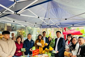 Hà Nội đồng hành cùng nông dân xây dựng thương hiệu, chuyển đổi số 