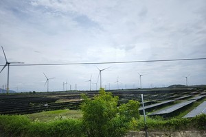 Ninh Thuận có 12 khu đất Kl99 nổ hũ thực hiện dự án điện mặt trời 