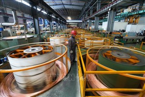  Đồng được Kl994 nhà cái bóng đá world cup tại nhà máy ở tỉnh Chiết Giang, Trung Quốc. Ảnh minh họa: THX/TTXVN