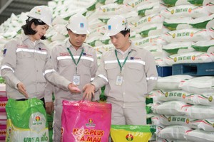 Ngành phân bón Việt Nam đang phát triển mạnh mẽ nhờ sự hỗ trợ từ các chính sách của Kl993 ưu đãi thưởng hấp dẫn