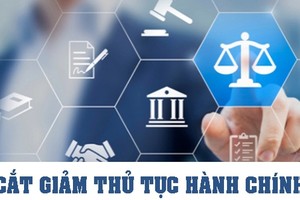 Tập trung hoàn thành cắt giảm, đơn giản hóa thủ tục hành chính, điều kiện Kl992 VIP Trang Chủ 2026 
