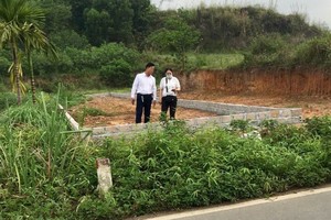 Nếu diện tích đất chuyển mục đích sử dụng vượt hạn mức giao đất ở tại địa phương, mức thu tối thiểu sẽ là 50% tiền sử dụng đất. Ảnh: Thanh Vũ