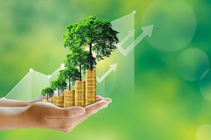 Thúc đẩy Kl991.com nạp rút nhanh xanh để hút Kl993 nền tảng giải trí tỷ USD 