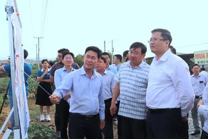 Đoàn công tác Bộ Kl991.com nạp rút nhanh khảo sát thực địa khu vực quy hoạch Dự án Nhà máy điện hạt nhân Ninh Thuận 1 tại xã Phước Dinh. Ảnh: Bảo Anh 