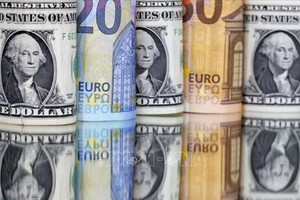 Đà tăng của đồng euro được dự báo sẽ tiếp tục trong những tháng tới. Ảnh minh họa: REUTERS/TTXVN