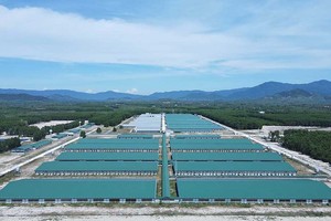 Dự án Trại heo giống công nghệ cao Thagrico Bình Định của Thaco Argi đang tiếp tục được mở rộng (Ảnh: Thaco argi) 