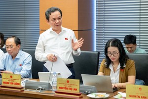 GS.TS Hoàng Văn Cường, đại biểu Quốc hội đoàn TP. Hà Nội phát biểu tại tổ.