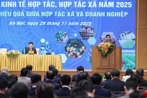 Phó Thủ tướng Nguyễn Chí Dũng phát biểu khai mạc Diễn đàn Kl992 cổng game cá cược hợp tác, hợp tác xã năm 2025 - Ảnh: VGP.