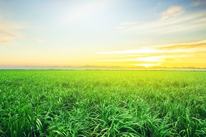 AgriS: kiên định xây dựng một hình mẫu về Kl991.com World Cup 2026 Chính Thức phát triển bền vững