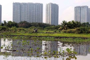 Giá đất nông nghiệp ở khu vực TP.HCM dự kiến tăng cao nhất gần 78%. Ảnh: Lê Toàn.