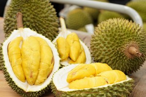 Xuất khẩu rau quả 11 tháng năm 2025 vượt cả năm ngoái khoảng 640 triệu USD. 