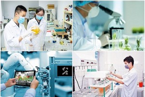 Nghị định số 15/2026/NĐ-CP sửa đổi, bổ sung các Nghị định trên nhằm cắt giảm điều kiện Kl99ok phiên bản mới Kl992 VIP Trang Chủ 2026 không cần thiết, giảm thời gian giải quyết của các thủ tục hành chính.