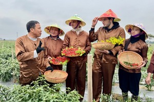 Hà Nội: Đa Phúc định hình du lịch xanh từ nông nghiệp và di sản 