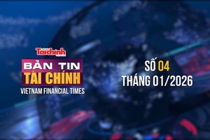 [Bản tin Kl991.com nạp rút nhanh] Chuyên gia quốc tế hỗ trợ Việt Nam quản lý nợ công hiệu quả, tạo dư địa phát triển 