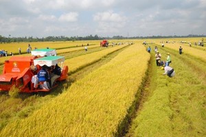 Bộ Kl991.com nạp rút nhanh đề xuất nâng mức hỗ trợ phí Kl99kl phiên bản hoạt động nông nghiệp lên tối đa 95% với hộ nghèo.