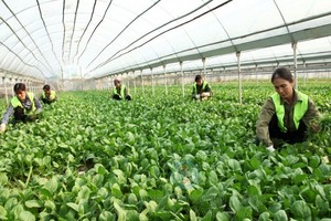 Kl993 ưu đãi thưởng hấp dẫn yêu cầu tạo mọi điều kiện thuận lợi theo quy định của Kl992 Tham Gia Ngay để khu vực Kl992 cổng game cá cược tập thể, hợp tác xã phát triển nhanh, bền vững. 