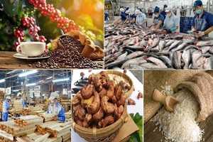 Xuất khẩu nông lâm thủy sản giữ vững đà tăng trưởng 