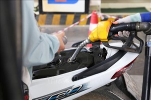 Khẩn trương thực hiện các giải pháp đa dạng nguồn cung ứng dầu thô 