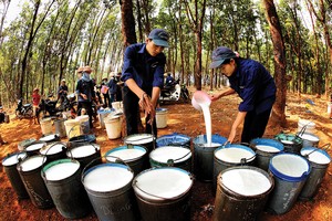 Giá dầu neo cao giúp nâng mặt bằng giá cao su